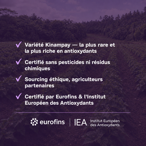 Poudre d'Ube Ritual
